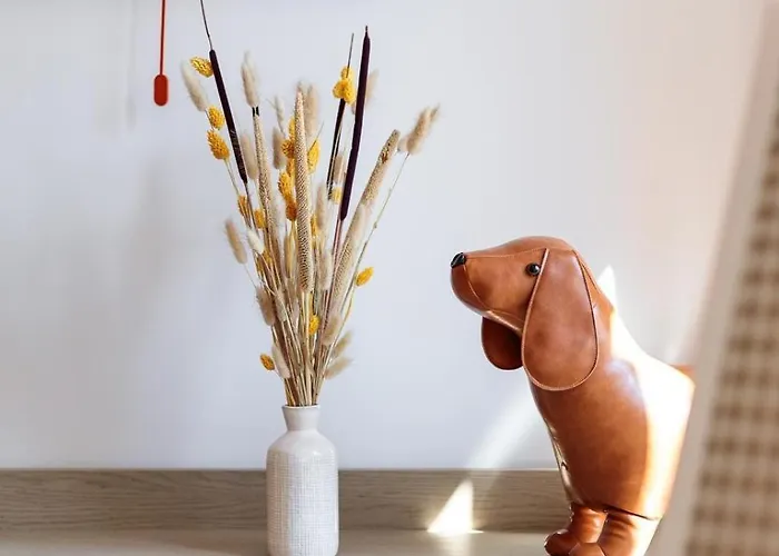 Le Musti - A L'entree Du Viel 公寓 昂蒂布